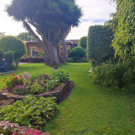La Chimenea Verde Tacoronte Ngoại thất bức ảnh