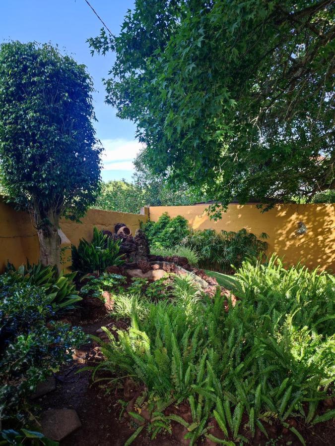 La Chimenea Verde Tacoronte Ngoại thất bức ảnh